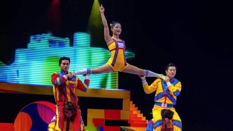 Your Guide to the Best August 2026 Events in Houston for Adults 4 August 2026 events in Houston for adults - Ringling Bros. And Barnum & Bailey®: The Greatest Show on Earth