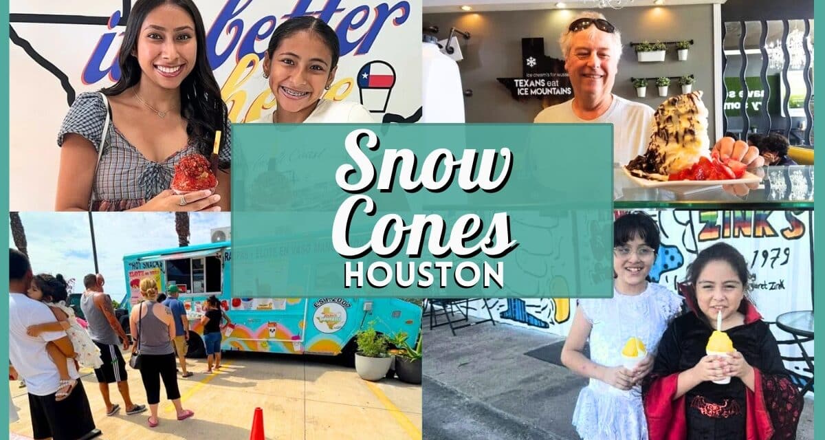 Best Snow Cones in Houston: 10 Top Shaved Ice Spots
