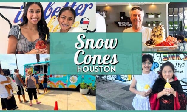 Best Snow Cones in Houston: 10 Top Shaved Ice Spots