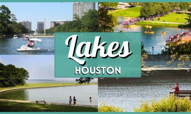15+ Best Lakes in Houston for Swimming, Boating & Fishing