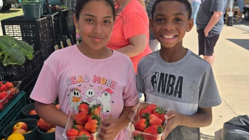 Houston Highlights: August 24 to August 27 – Food, Music, Arts & More 5 Houston picks August 24 to 27 2026 - Melon & Berry Festival & Artisan Market