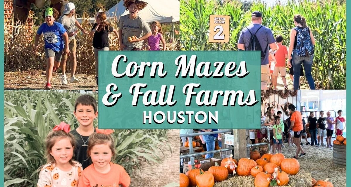 Best Corn Mazes & Fall Farms Near Houston 2026