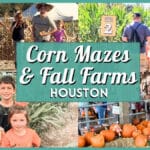 Best Corn Mazes & Fall Farms Near Houston 2026
