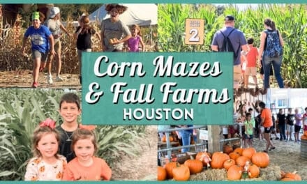 Best Corn Mazes & Fall Farms Near Houston 2026
