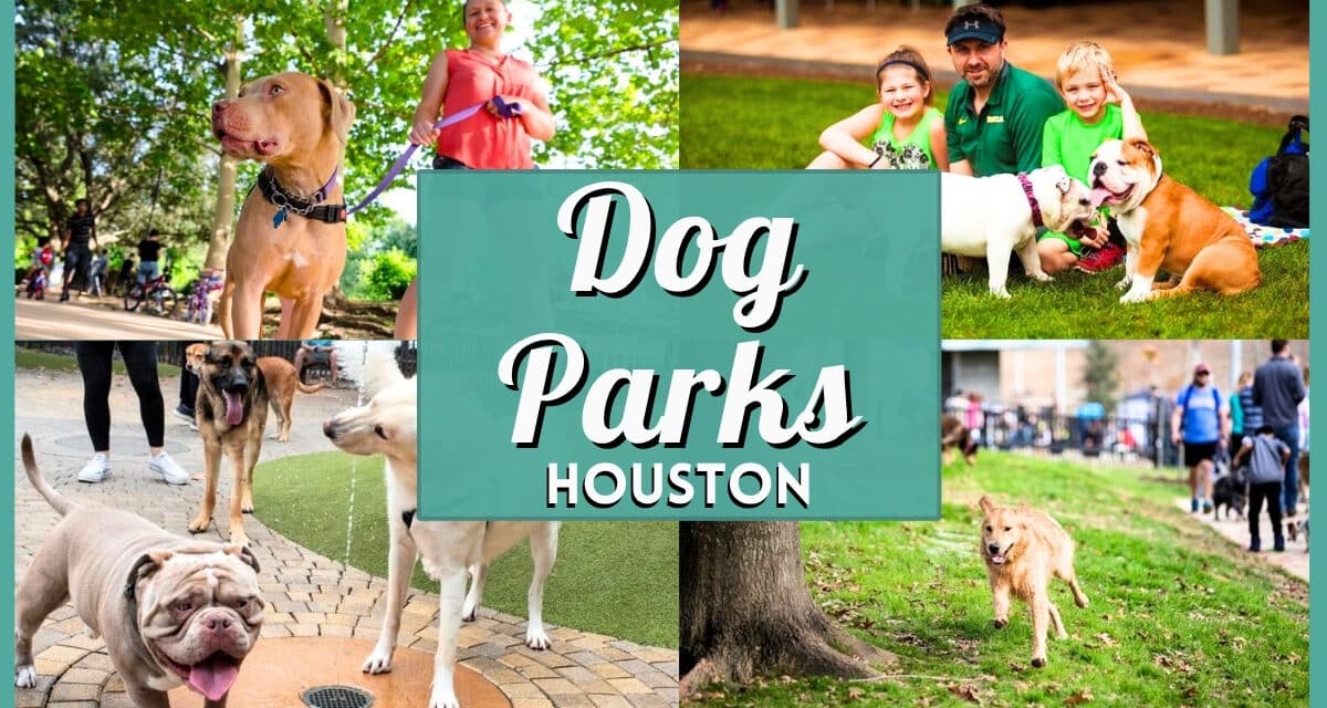 20+ Best Dog Parks in Houston: Top Off-Leash & Water Spots