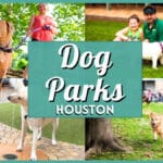20+ Best Dog Parks in Houston: Top Off-Leash & Water Spots