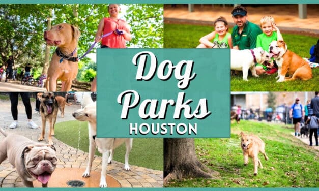 20+ Best Dog Parks in Houston: Top Off-Leash & Water Spots
