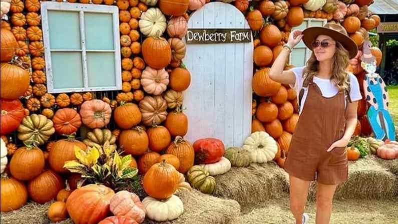 Fall Festivals Houston - Dewberry Farm