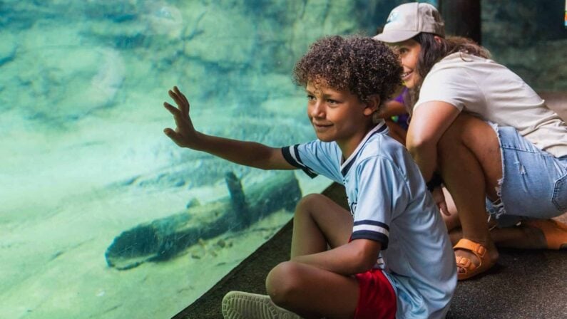 Houston Museum District - Houston Zoo