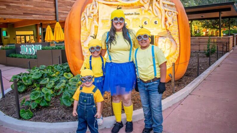 Halloween Events Houston 2026: Family Fun, Trunk-or-Treats & Parades 3 Houston Halloween 2026 - Zoo Boo at the Houston Zoo