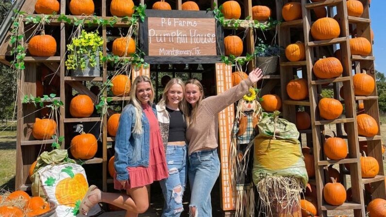 Fall festivals in Houston - P-6 Farms Fall Festival