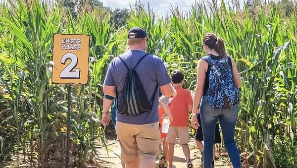 Best Corn Mazes & Fall Farms Near Houston 2026 4 Corn Maze Houston - P-6 Farms
