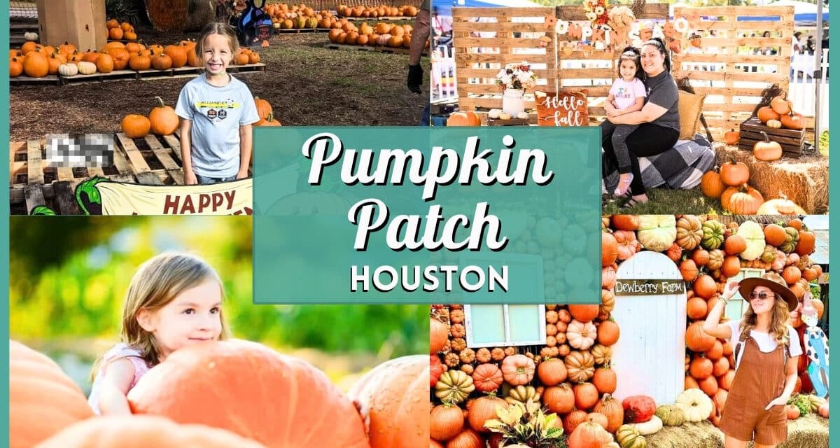 Pumpkin Patch Houston 2026: Best Farms, Rides & Photo Ops