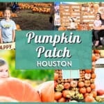 Pumpkin Patch Houston 2026: Best Farms, Rides & Photo Ops