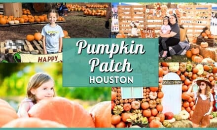 Pumpkin Patch Houston 2026: Best Farms, Rides & Photo Ops