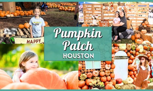 Pumpkin Patch Houston 2026: Best Farms, Rides & Photo Ops