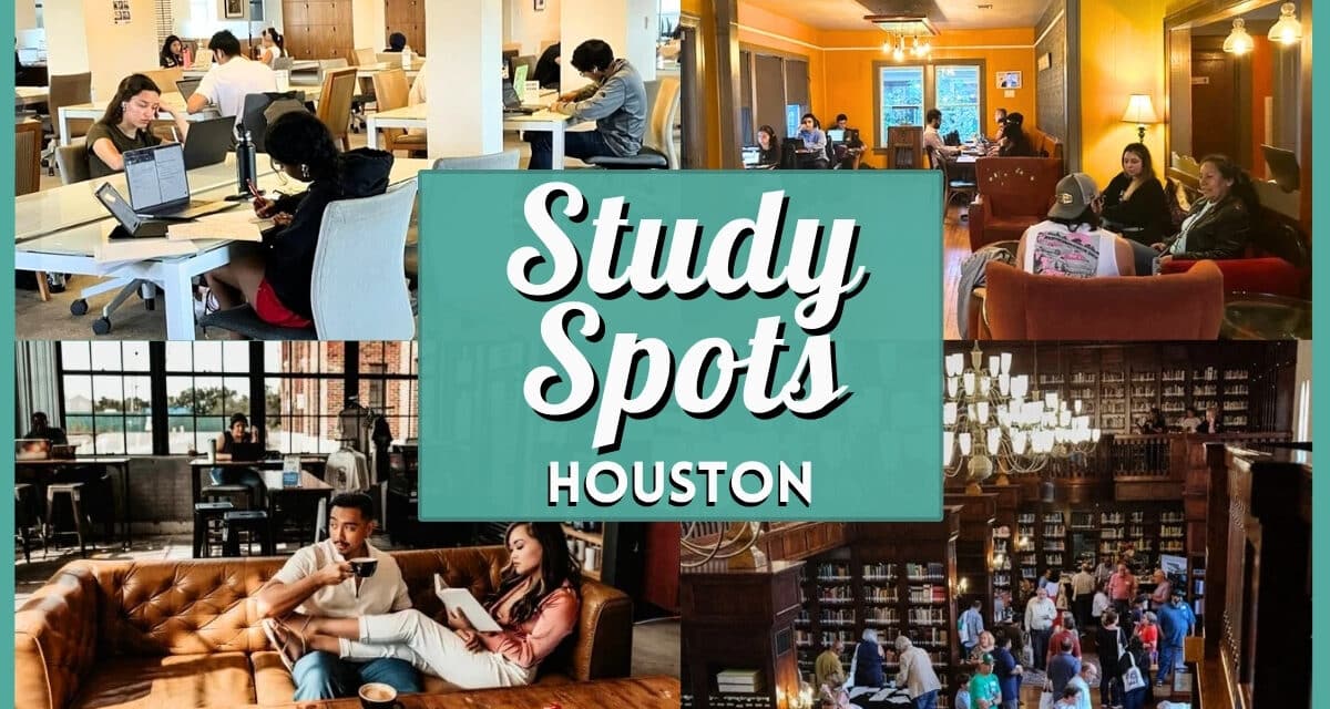 Best Quiet Coffee Shops & Study Spots in Houston for College Students