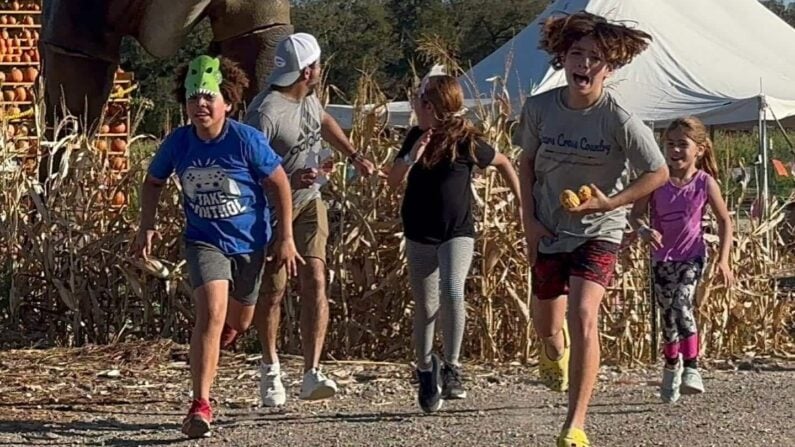 Best Corn Mazes & Fall Farms Near Houston 2026 2 Corn Maze Houston - Sweet Eats Corn Maze and Flashlight Corn Maze
