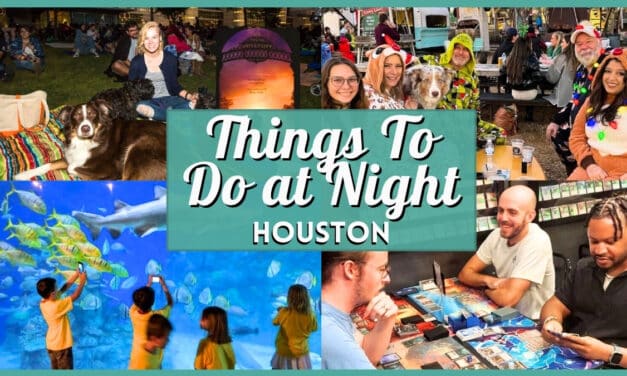 Free Things to Do in Houston at Night: 15 Fun & Cheap Ideas
