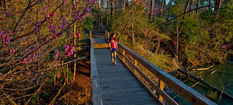 Best Fall Trips & Road Trip Getaways from Houston 2 Fall road trips Houston - Lake Livingston State Park