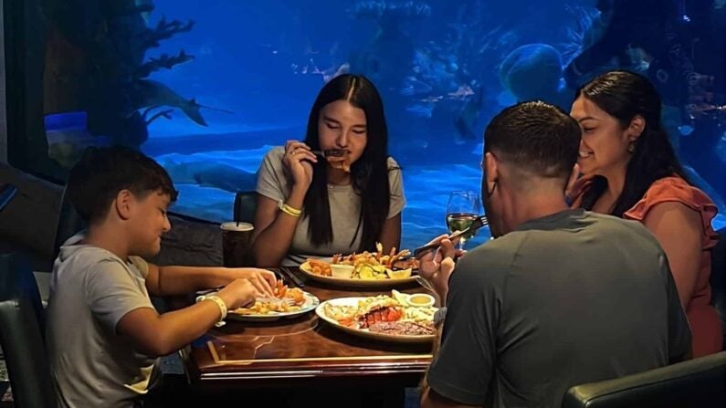Waterfront Dining Houston - Aquarium Restaurant - Downtown