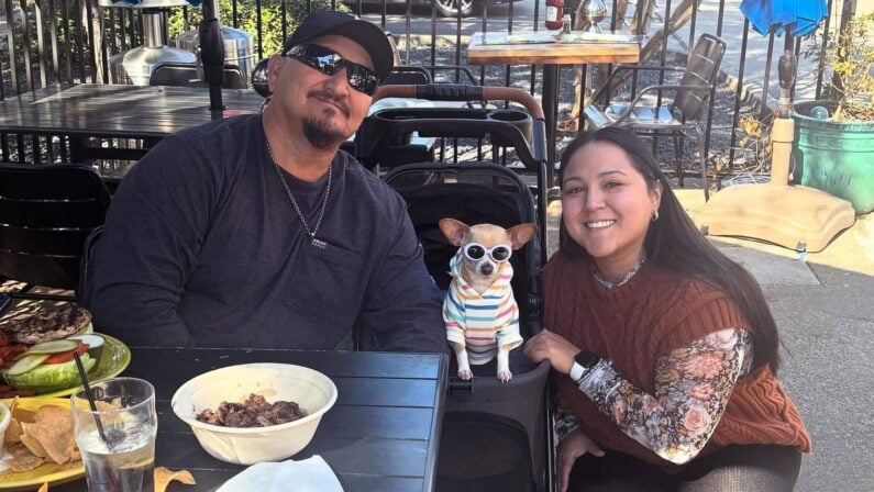 Best Dog Friendly Restaurants Houston: Top Patios & Bars 4 Dog Friendly Restaurants Houston - Barnaby’s Cafe