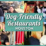 Best Dog Friendly Restaurants Houston: Top Patios & Bars