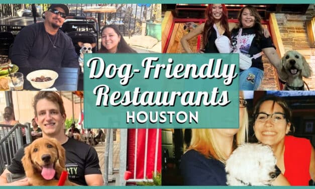Best Dog Friendly Restaurants Houston: Top Patios & Bars