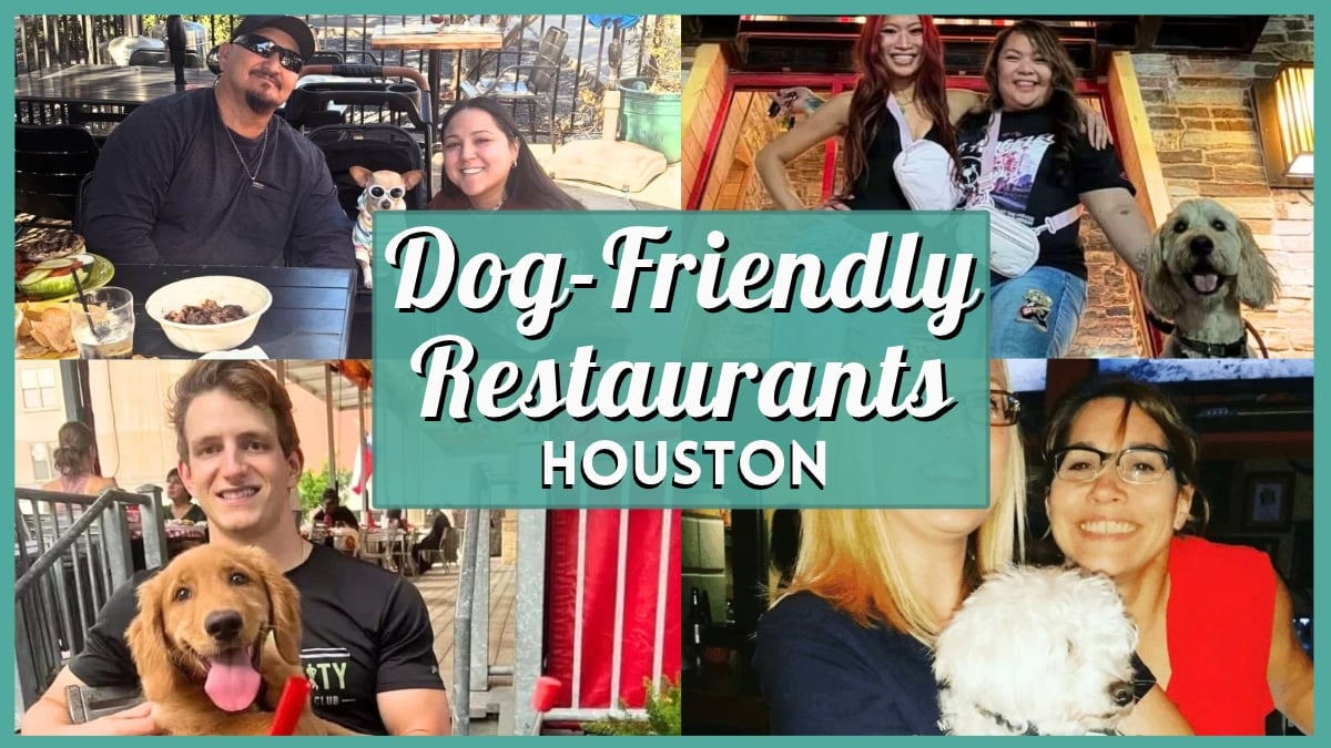 Dog Friendly Restaurants Houston