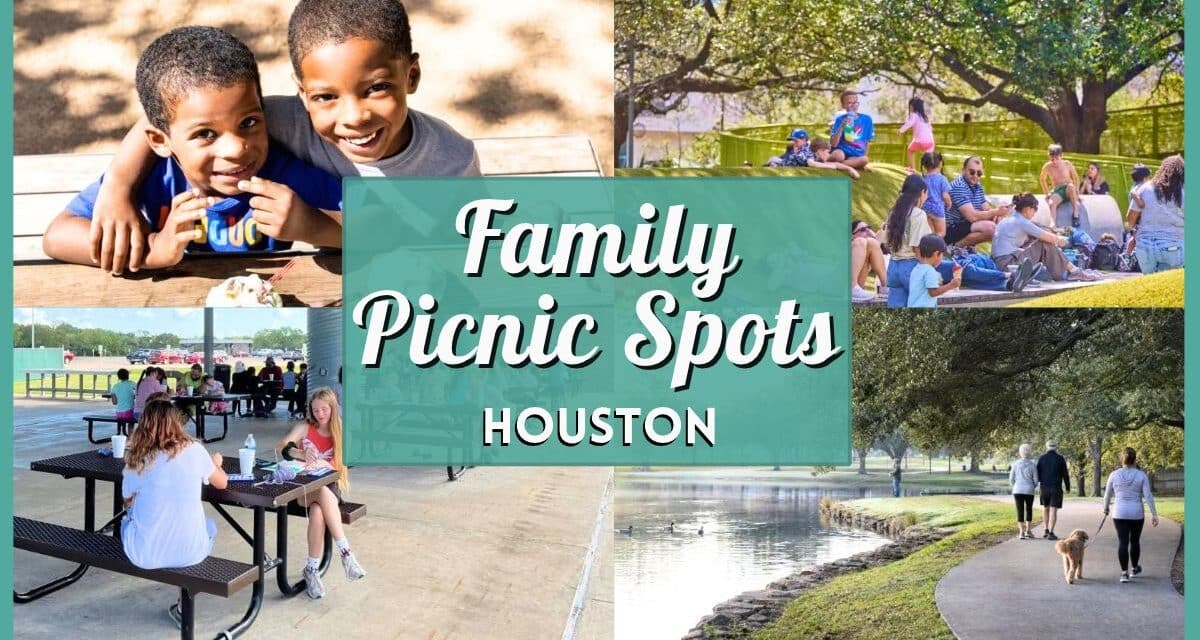 Best Family Picnic Spots in Houston with Cheap To-Go Packs