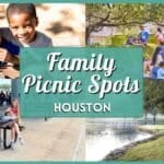 Best Family Picnic Spots in Houston with Cheap To-Go Packs