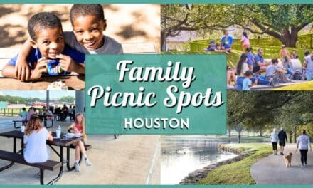 Best Family Picnic Spots in Houston with Cheap To-Go Packs