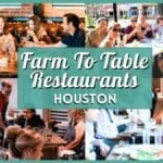 Best Farm to Table Restaurants in Houston for Fall