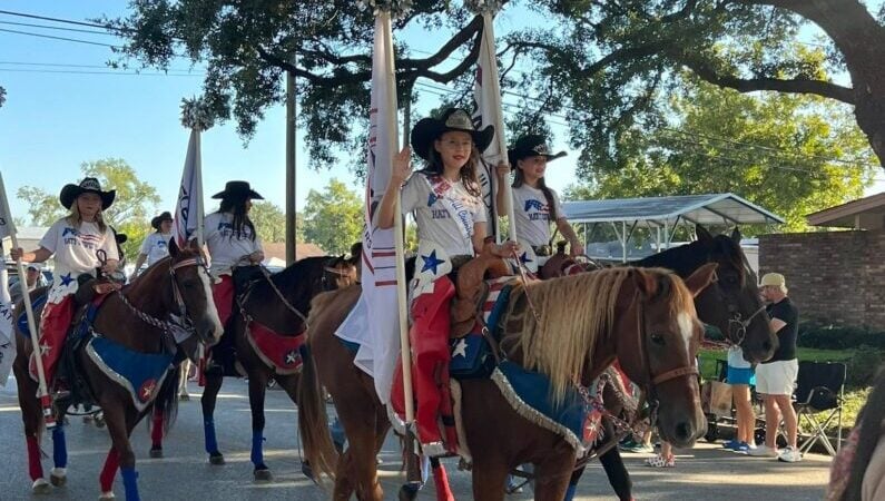Best Art Festivals Houston - Fall Arts Fests & Craft Fairs in Greater Houston 4 Houston art festivals - Katy Rice Harvest Festival