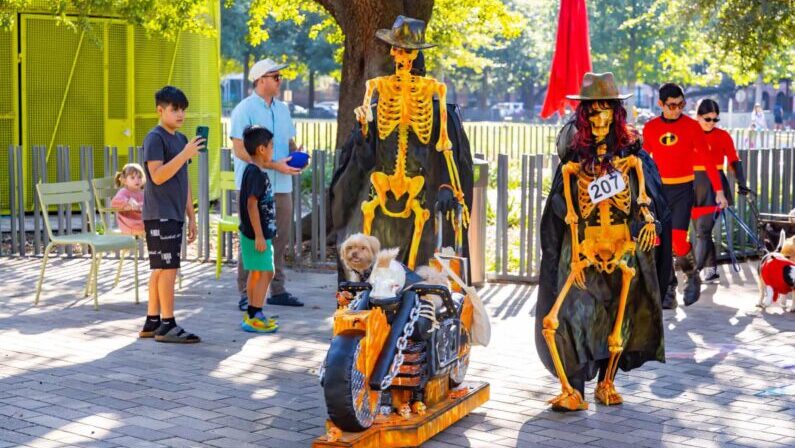 Halloween Events Houston 2026: Family Fun, Trunk-or-Treats & Parades 5 Houston Halloween 2026 - Howl-O-Ween Dog Parade and Costume Contest at Levy Park